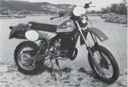 GS490 1981